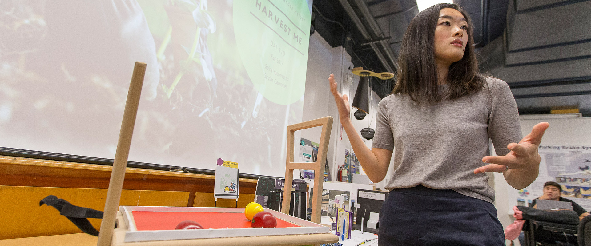 Dietetics lecture with apples and oranges 