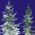 snow-covered trees