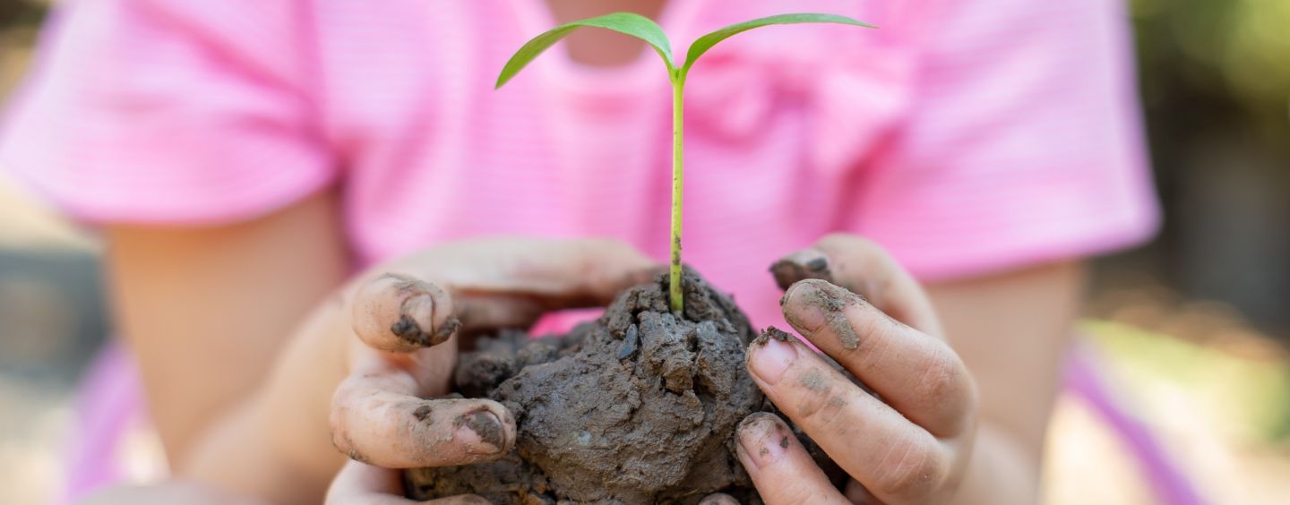 Child in pink shirt holds a globe of mud with a sprout coming out