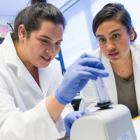Clinical lab science students working in the laboratory